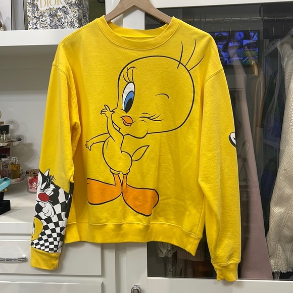 Warner Bros. Tops - Looney Tunes sweater